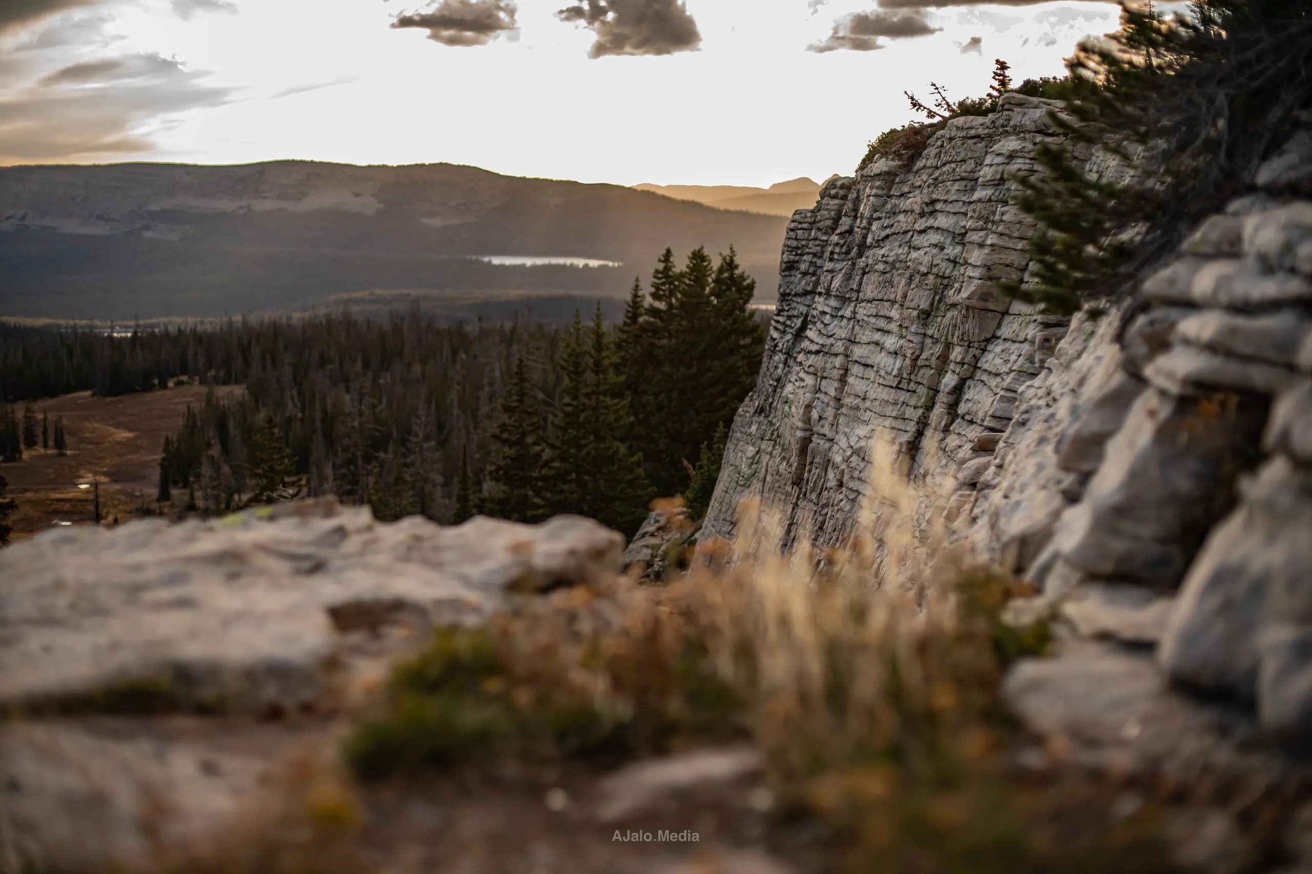 Rocky cliff edge overlooking a forested valley at golden hour