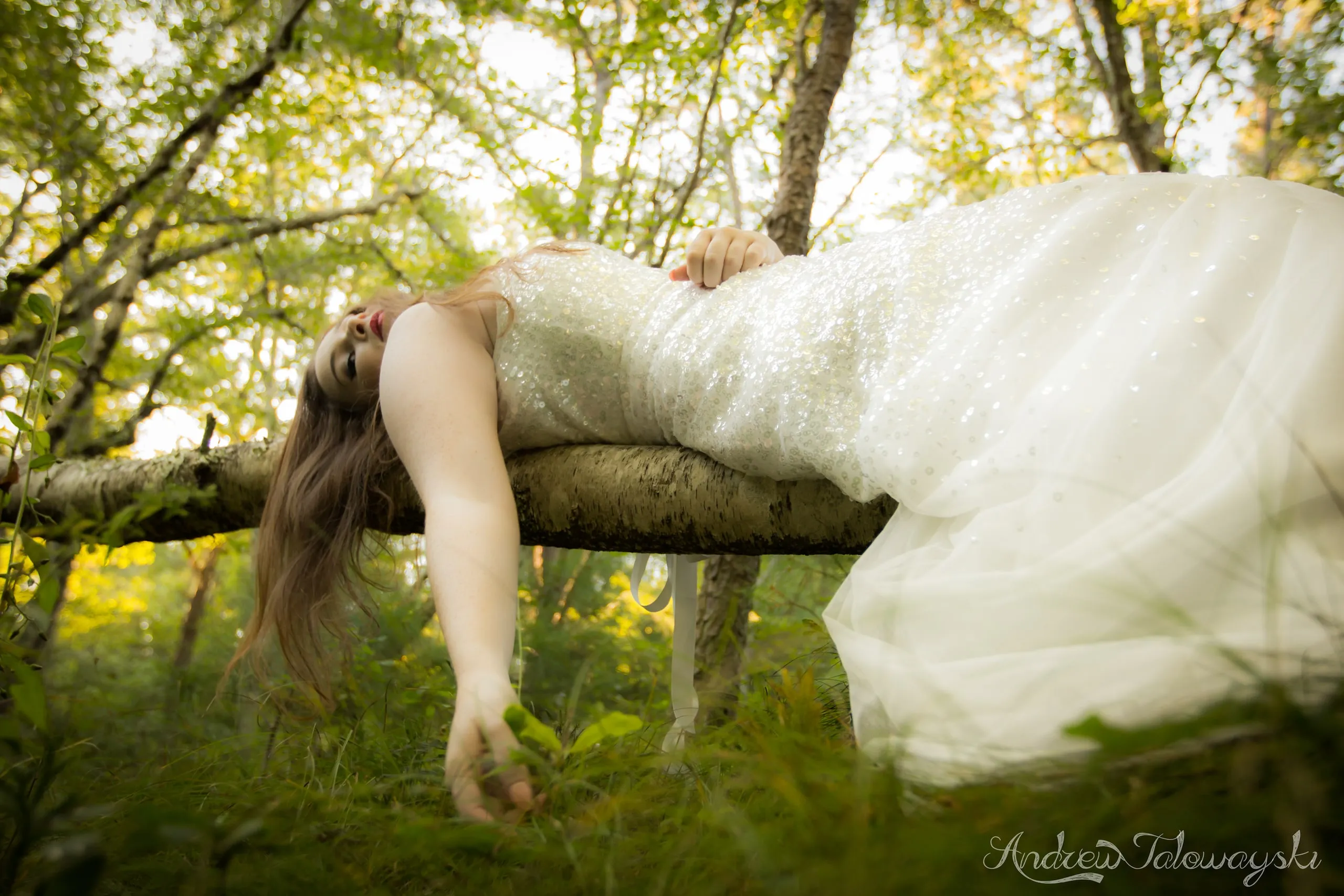 Woman in a flowing white gown lying across a fallen tree branch in sunlit woods