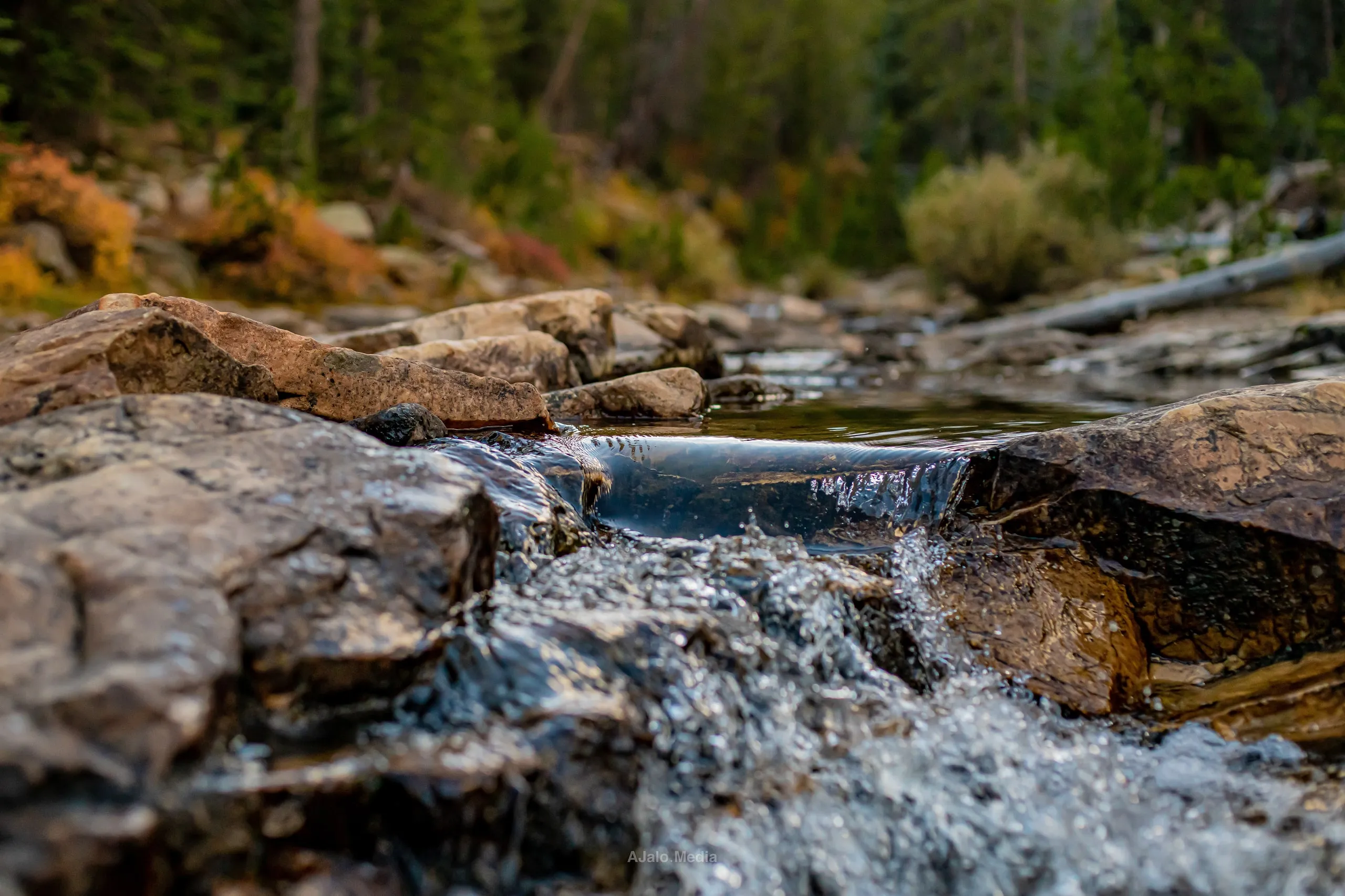 Mountain stream flowing over rocks in an autumn forest