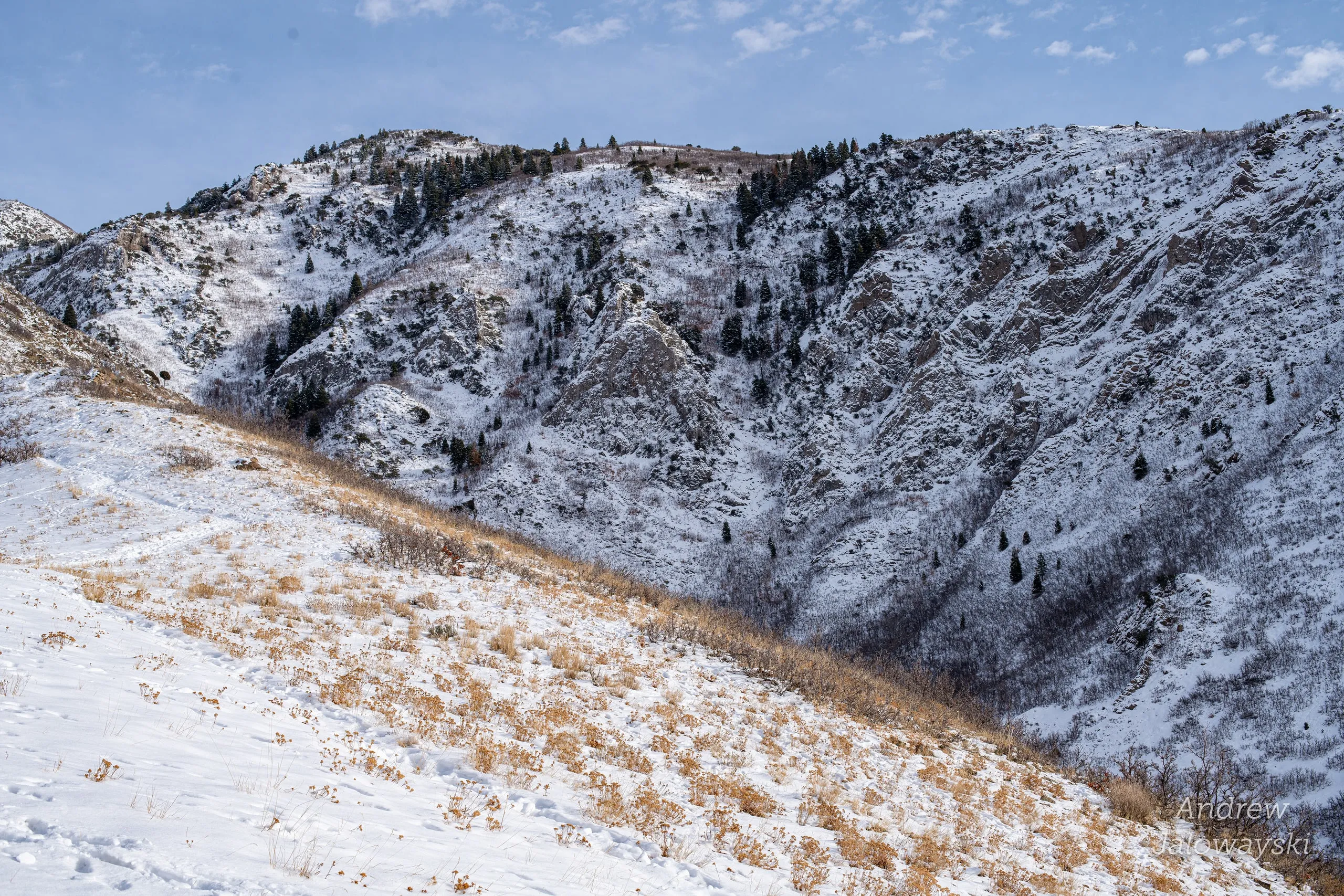 Snow-covered mountainside with scattered dry brush
