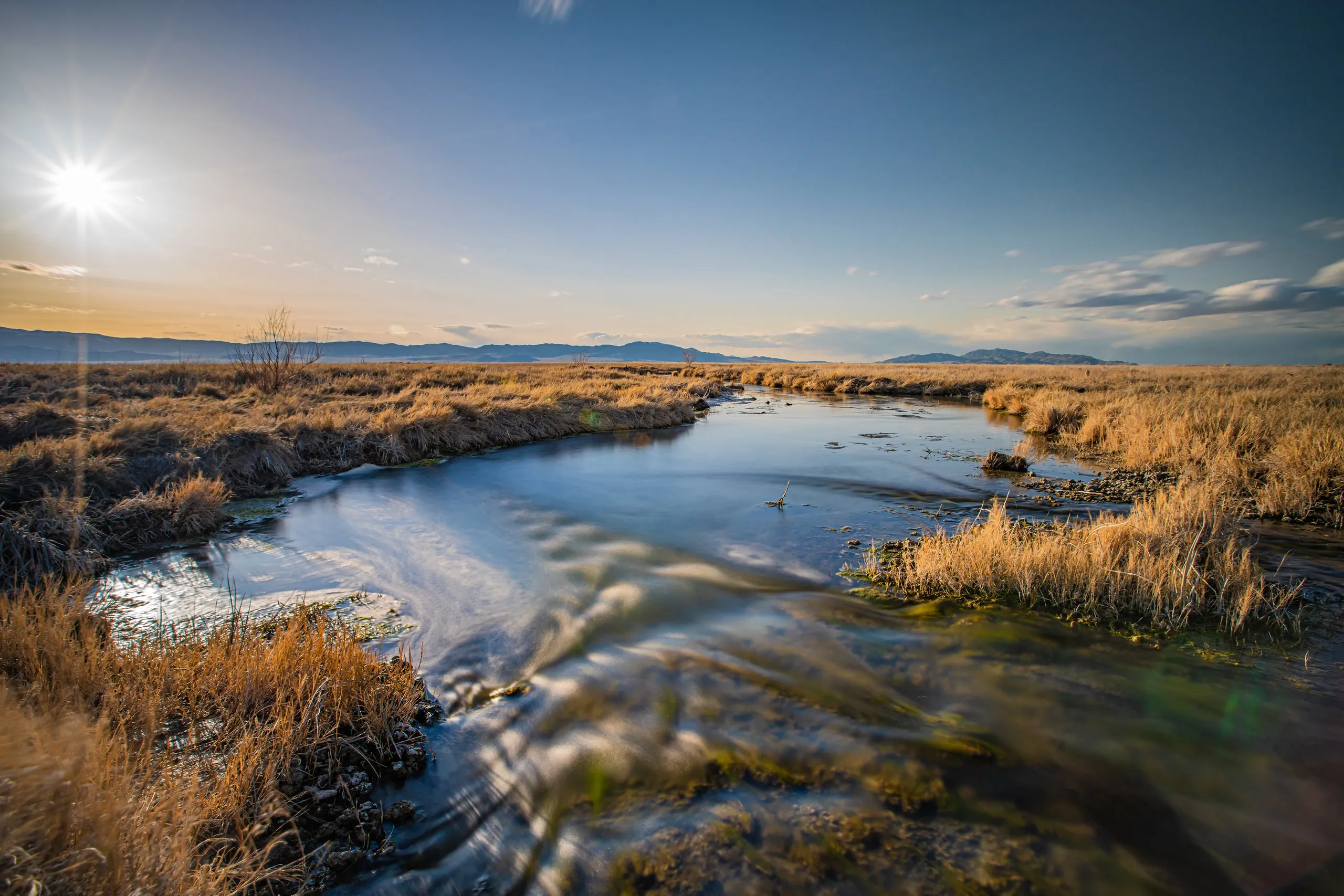 Sun shining over a winding marsh stream in Skull Valley