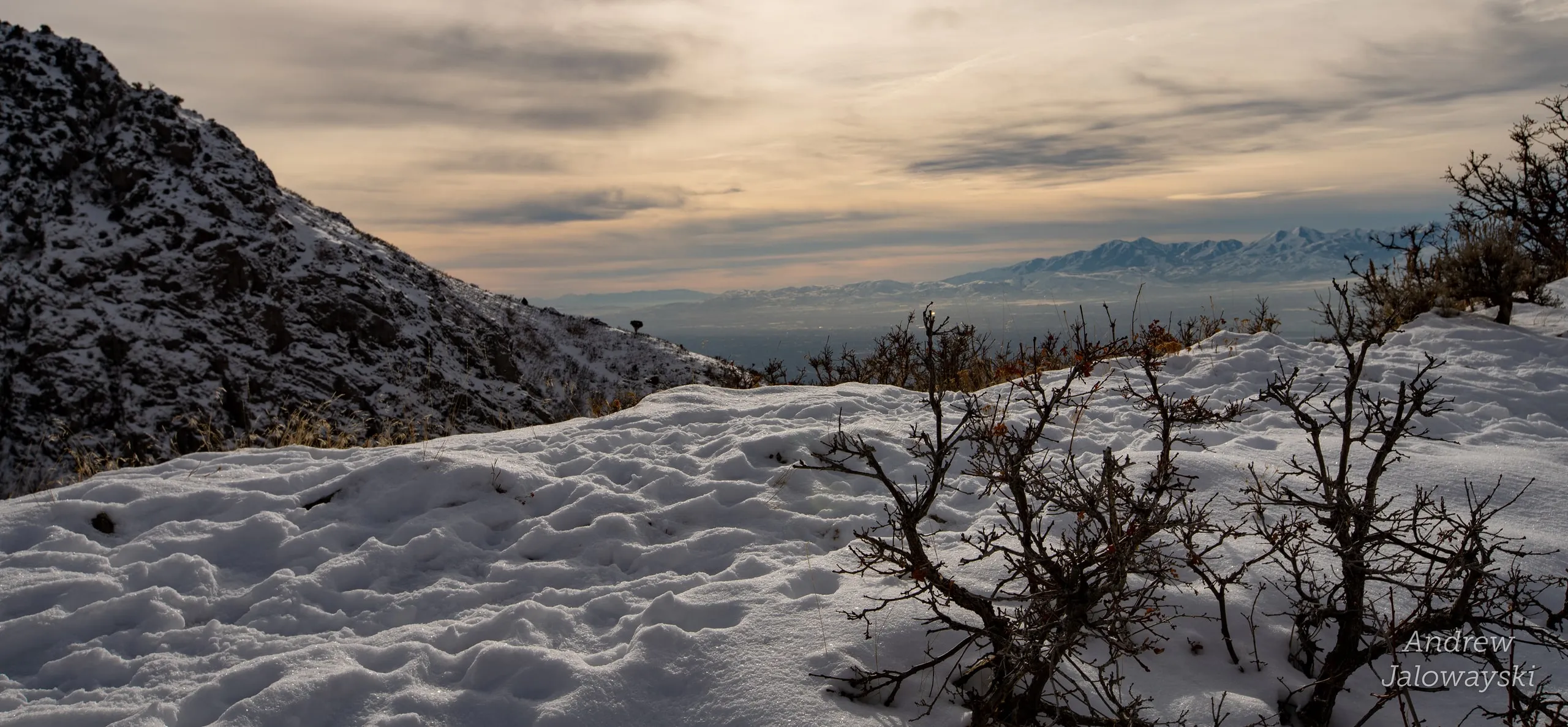 Snowy slope with bare shrubs overlooking the valley