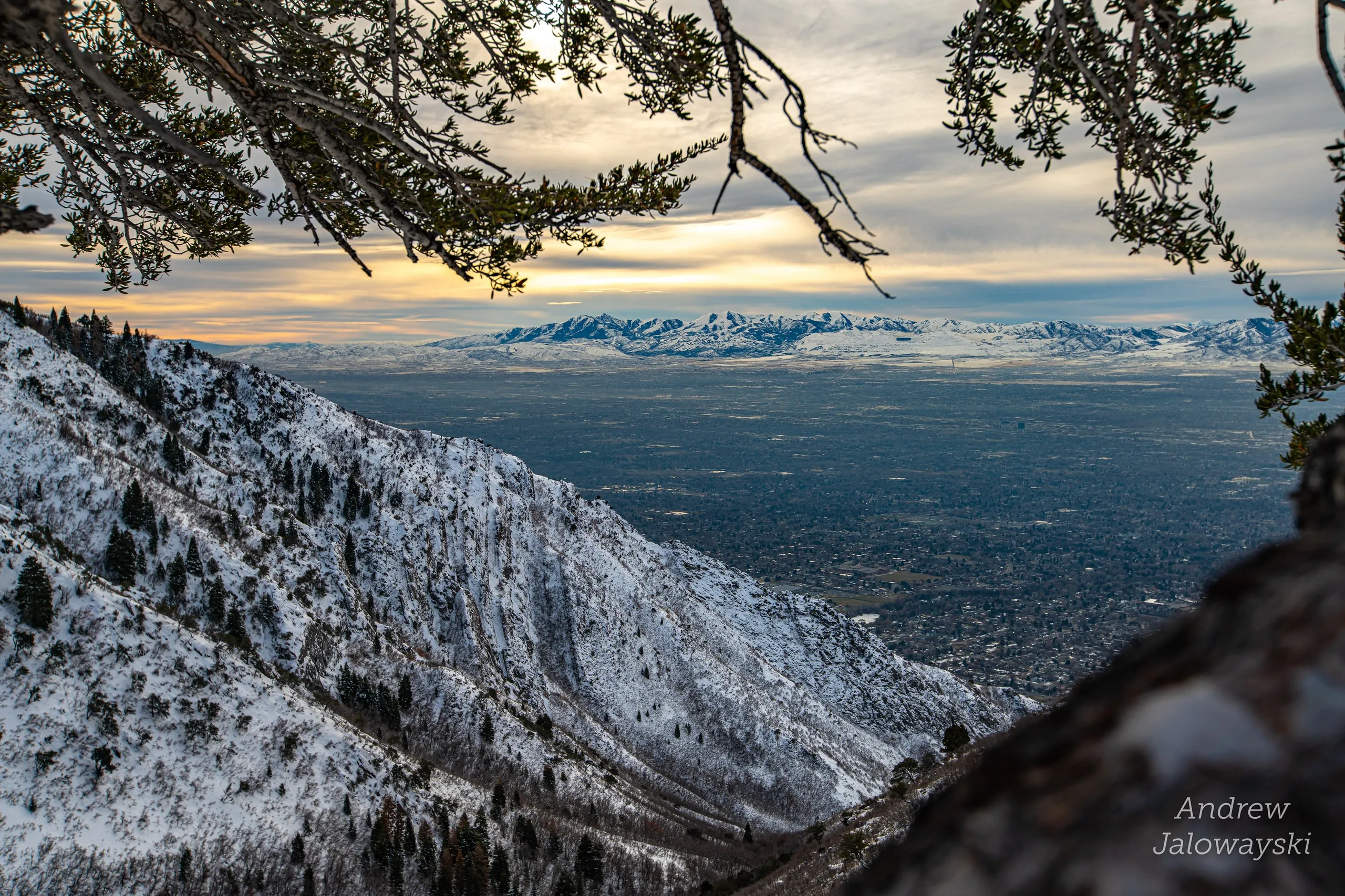 Valley view framed by evergreen branches on a snowy mountain