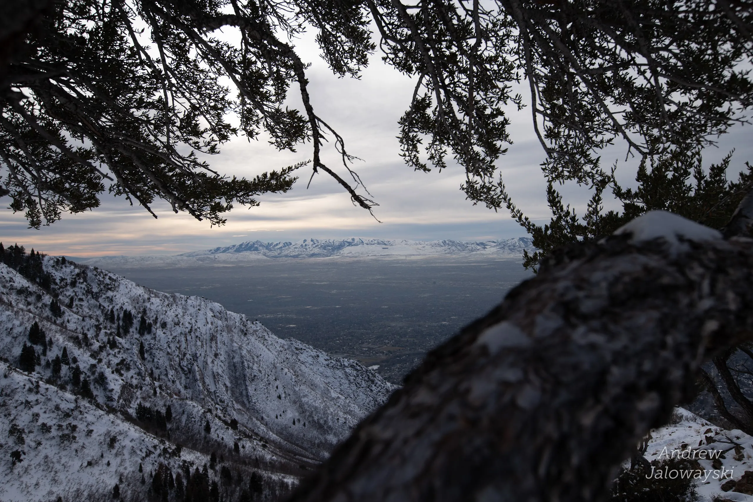 Tree branches framing a view over the snowy mountains and valley