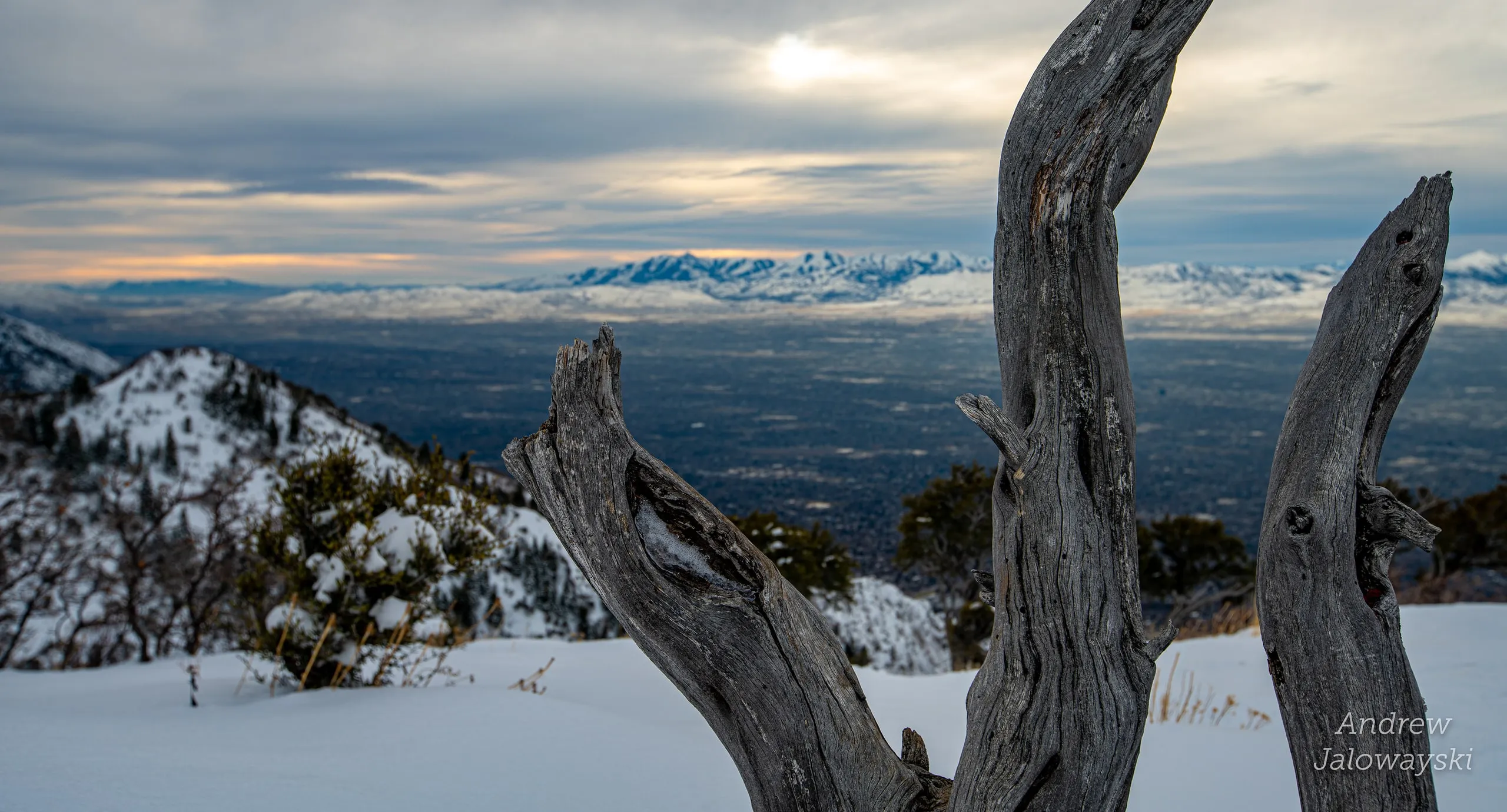 Weathered dead tree trunk in snow above the valley