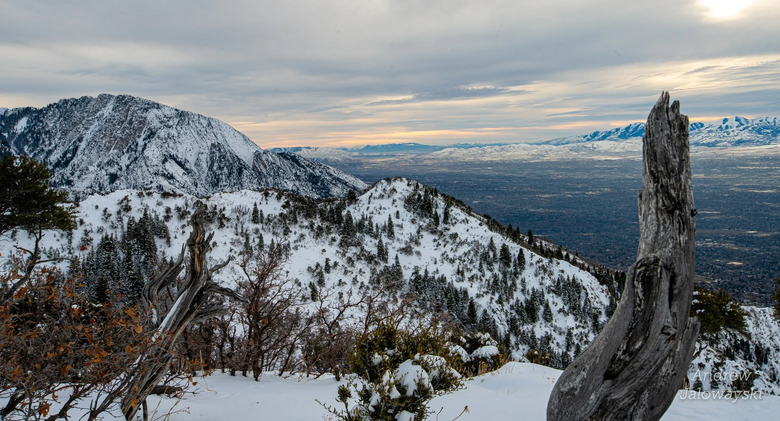 Snowy peaks and a dead tree trunk on Granger Mountain