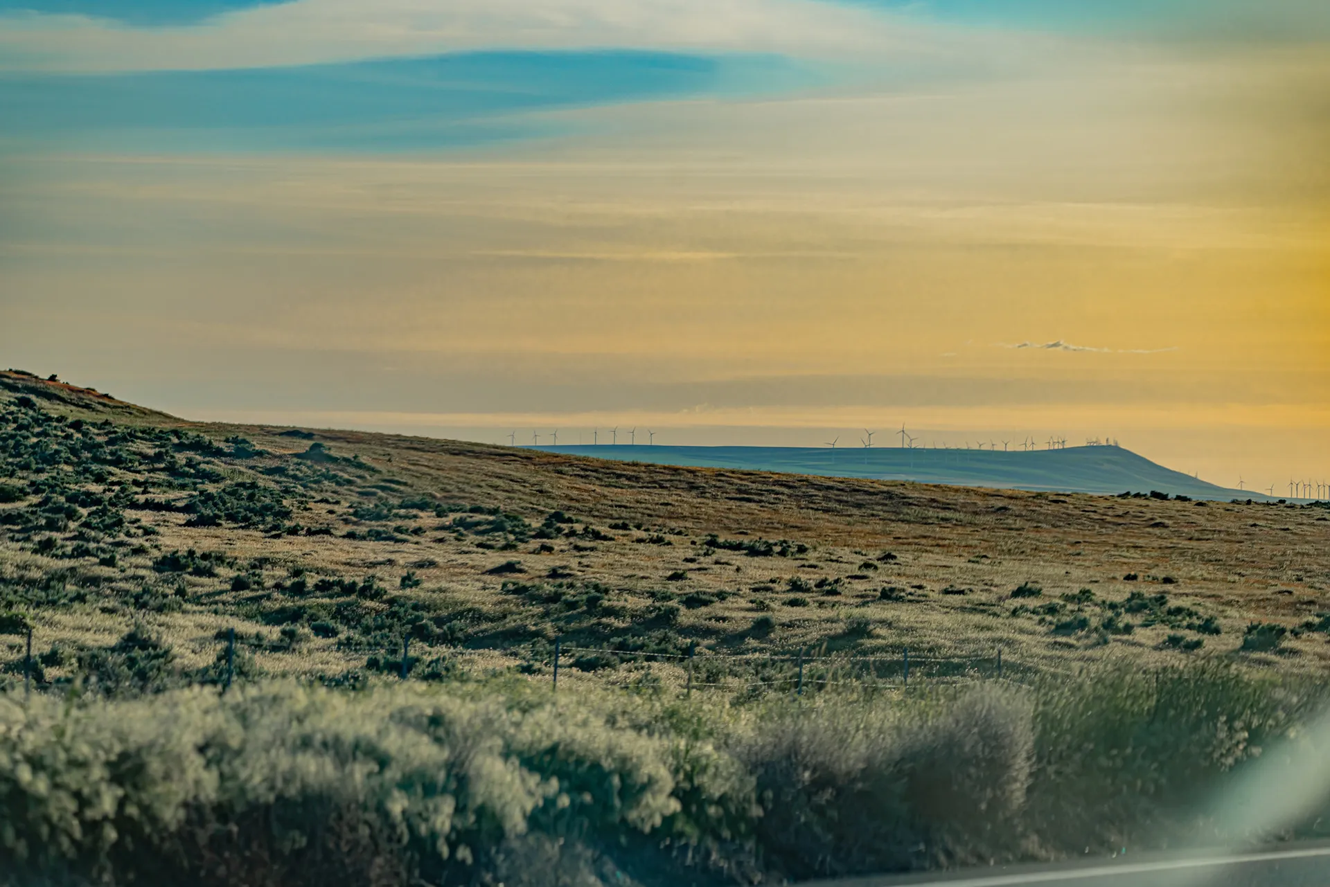 Rolling grassland hills at golden hour