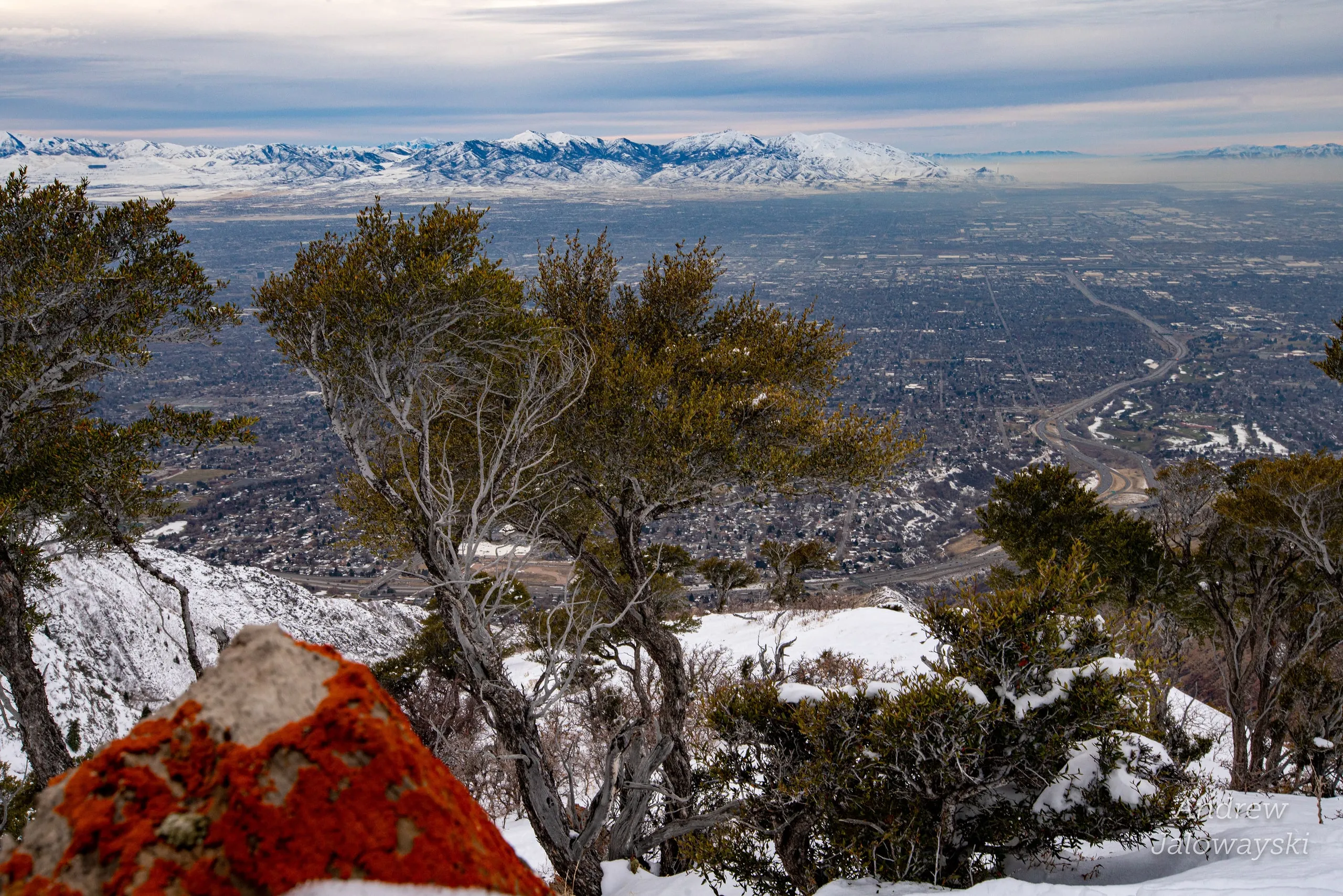 Junipers and a red lichen-covered rock above the valley