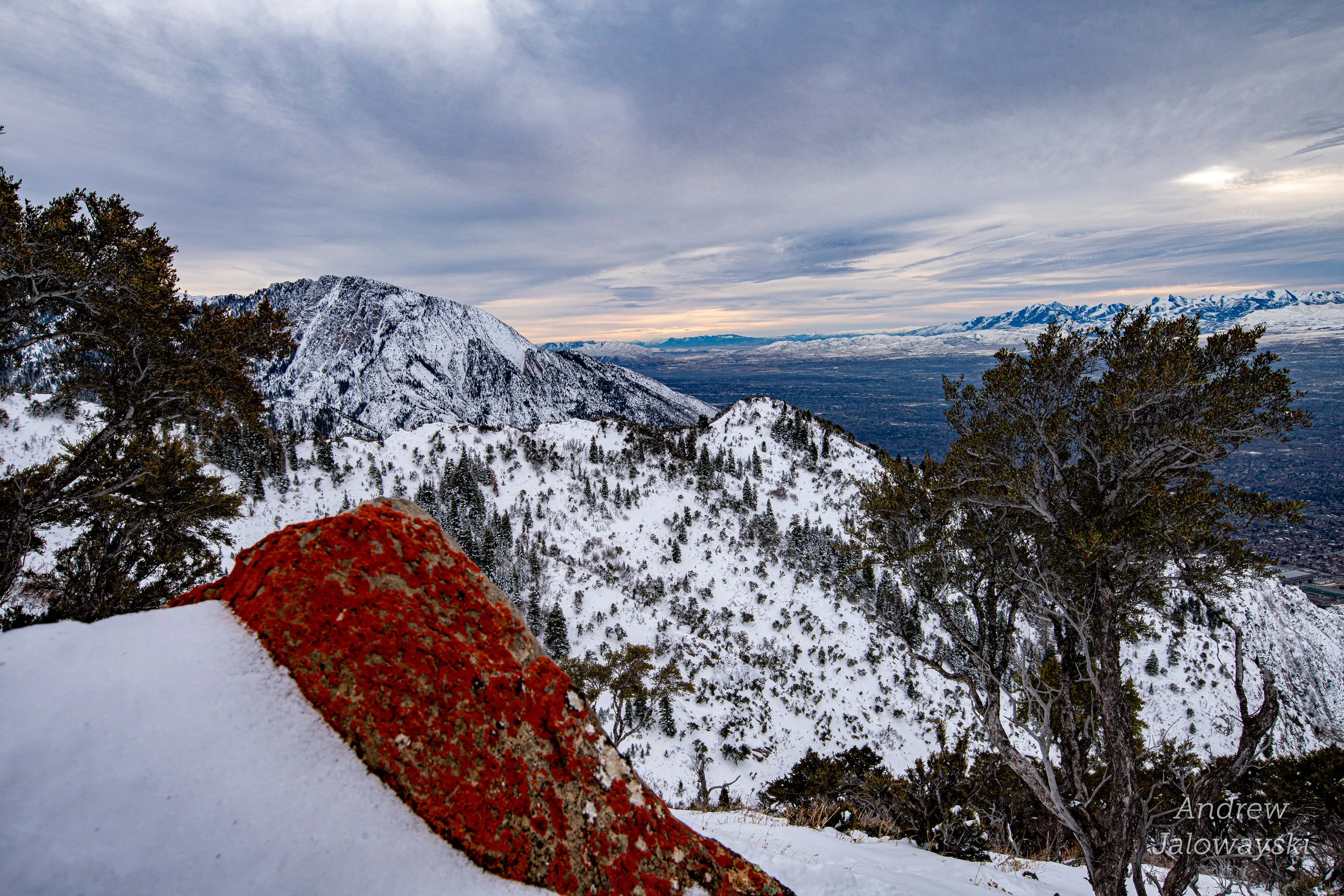 Bright red lichen on a rock among snowy junipers