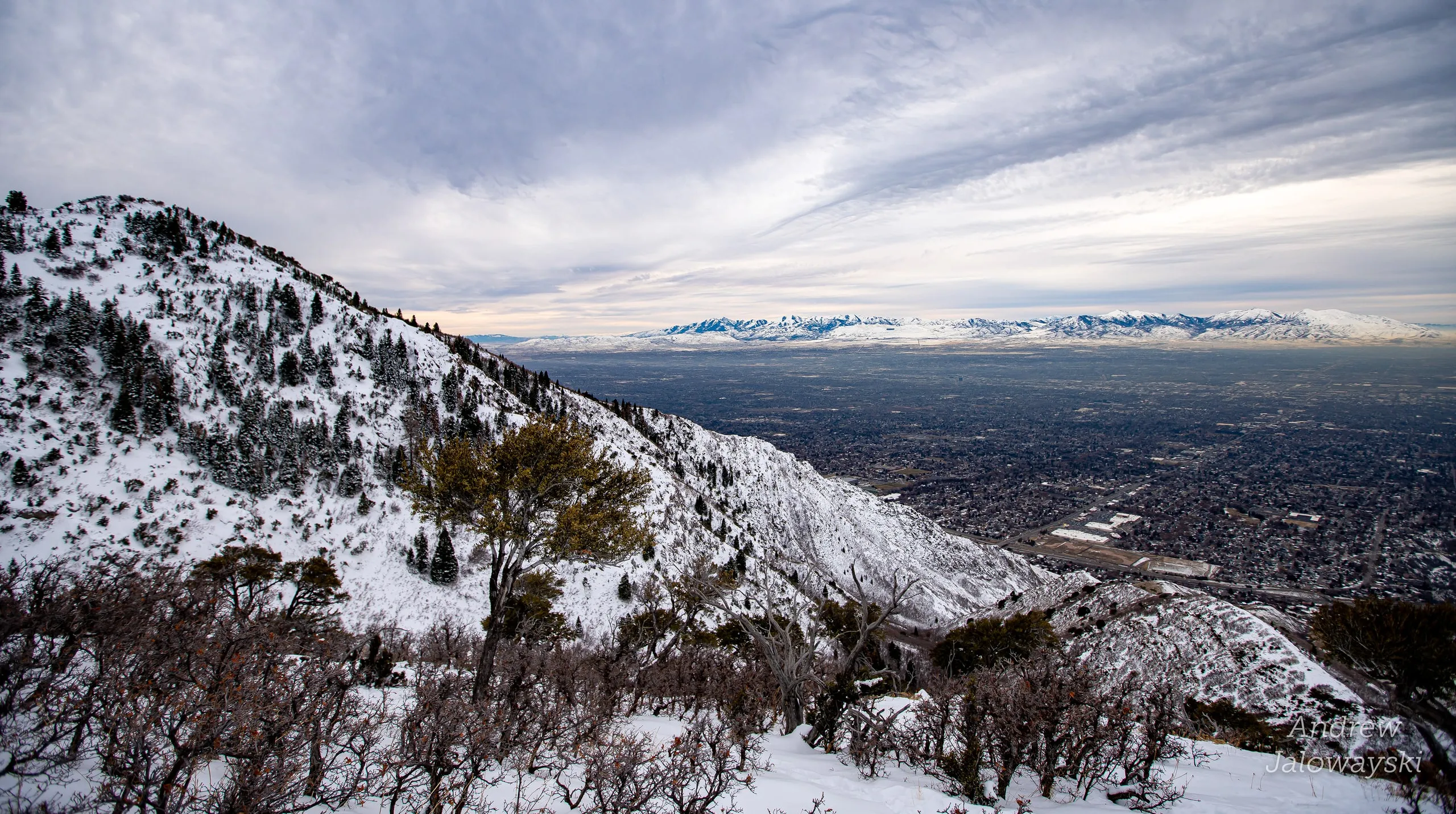 Snowy slope with shrubs overlooking the valley