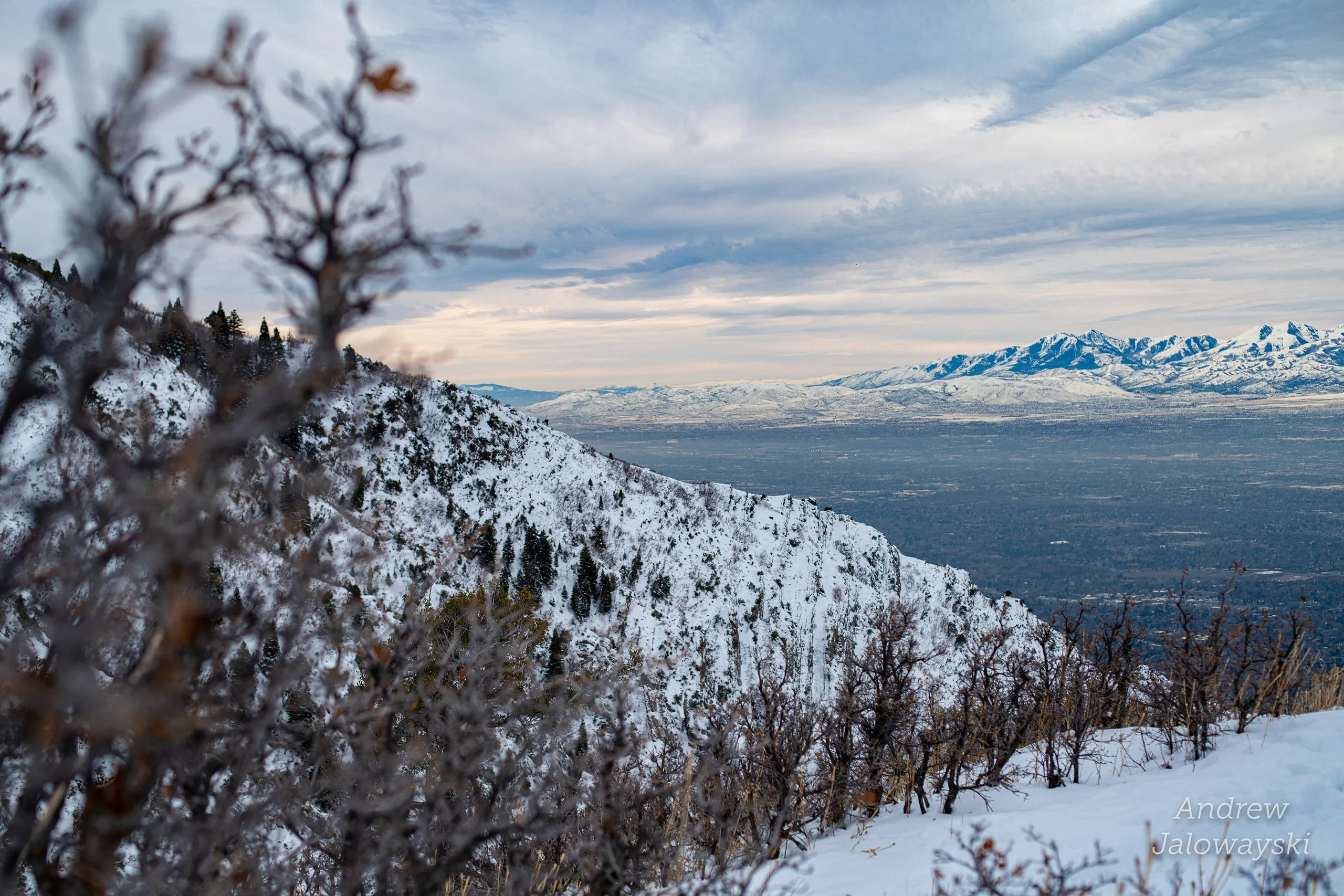 Bare branches framing snowy peaks across the valley